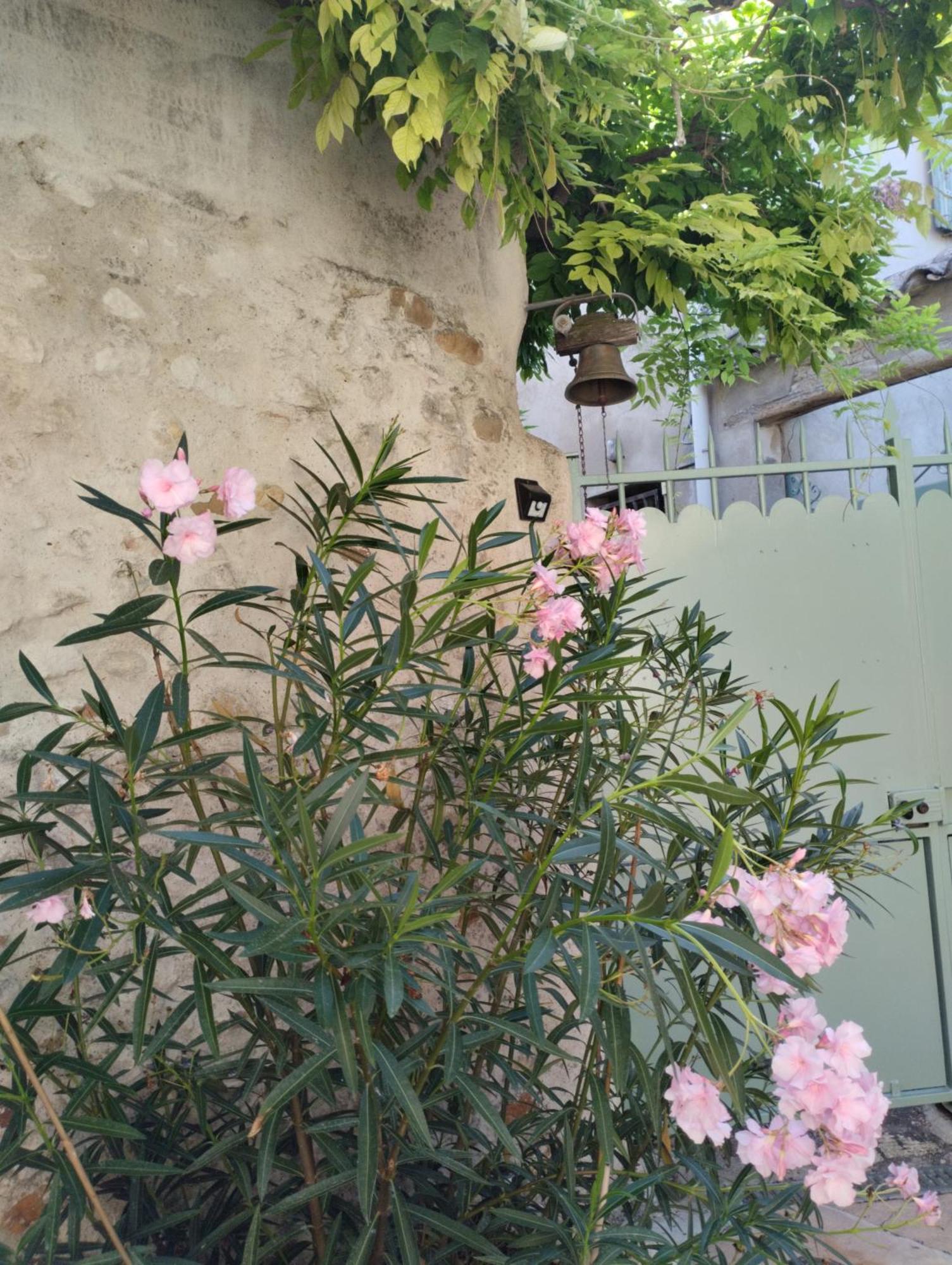 Chez Les Filles Bed and Breakfast Dions Exteriör bild
